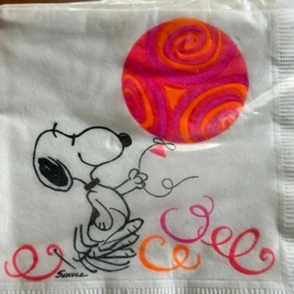 Peanuts Snoopy Charlie Brown 7